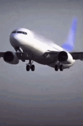 Descending On Two Feet Landed GIF