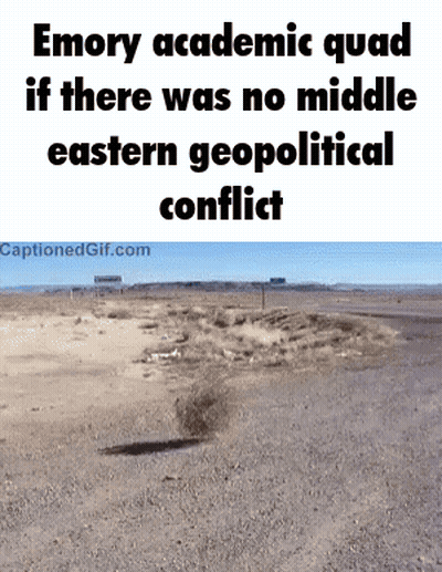 Desert Emory Academic Quad No Middle Eastern Conflict GIF