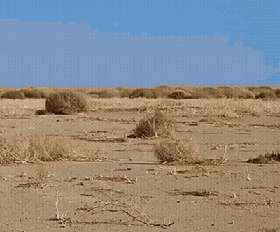 Desert Landscape With Blue Sky GIF