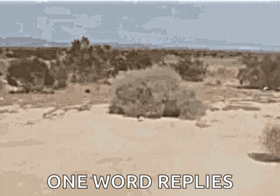 Desert Landscape With One Word Replies GIF