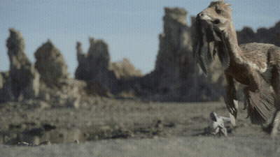 Desert Scene With Bird GIF