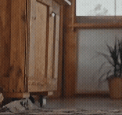 Dessert With Cat Face And Bowl Of Sauce GIF