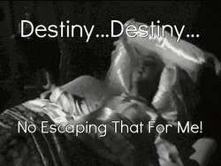Destiny No Escaping