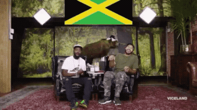 Desus And Mero Jamaica GIF