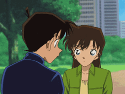 Detective Conan Anime Couple Shinichi Ran
