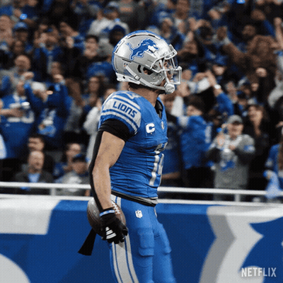 Detroit Lions Football Player Holding Ball GIF