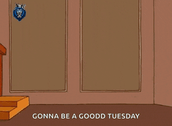 Detroit Lions GIF