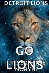 Detroit Lions Go Lions GIF