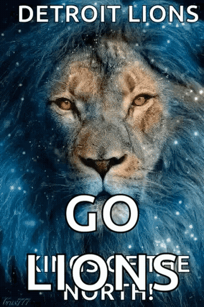 Detroit Lions Go Lions North Poster GIF