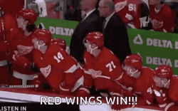 Detroit Red Wings Win