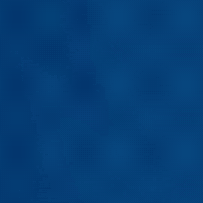 Devil Rays Win Yellow On Blue GIF