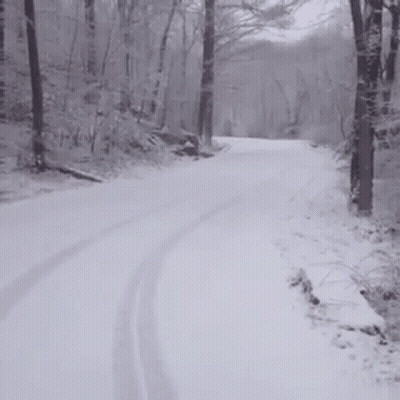 Devil Standing On Snow Covered Road GIF