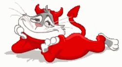 Diavolo Capetinha Gato GIF