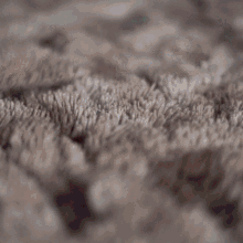 Dice Numbers Throw Falling Carpet GIF