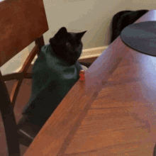 Dice Slide Table Funny Cat GIF