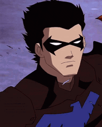 Dick Grayson Nightwing Young Justice GIF