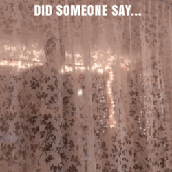 Did Somebody Say Shots Curtain Reveal GIF