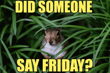 Did Someone Say Friday Meme  GIF