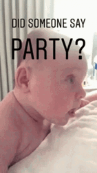 Did Someone Say Party Meme GIF