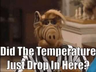 Did Temperature Drop Here Gordon Shumway ALF GIF