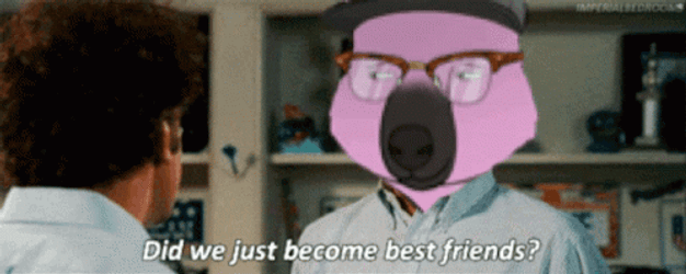 Did We Just Become Best Friends Cat Dog GIF
