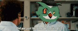 Did We Just Become Best Friends Dirt Birds GIF