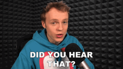 Did You Hear That Noise GIF