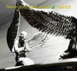 Did You Pray Today Meme Never Doubt Prayer GIF