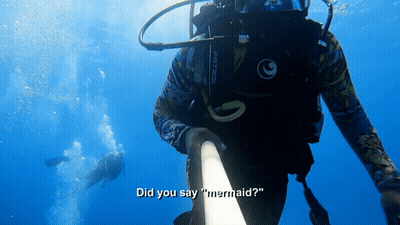 Did You Say Mermaid?. Shark Week. GIF