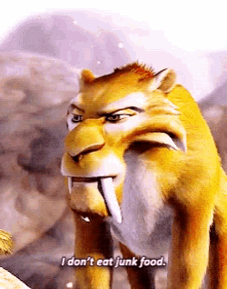 Diego I Dont Eat Junk Food GIF