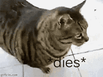 Dies Of GIF