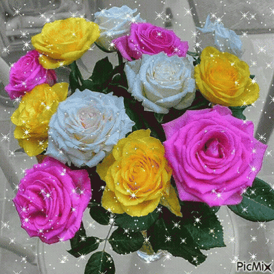 Different Colored Roses In Vase Picmix GIF