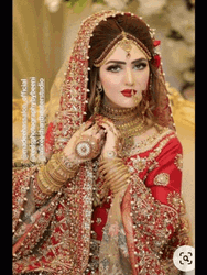 Different Indian Brides GIF