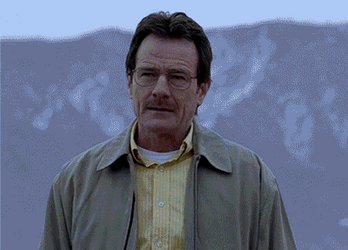 Different Look Walter White Meme GIF