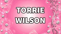 Different Shots Of Torrie Wilson In WWE GIF