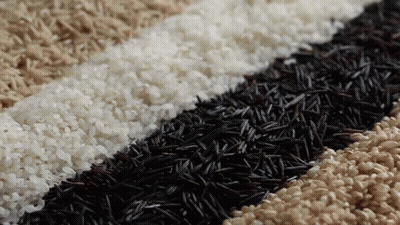 Different Types Of Rice Are Laid Out In Rows GIF