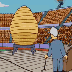 Digibyte Digibee GIF
