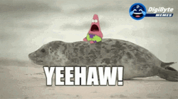  Digibyte Yeehaw Patrick Star GIF