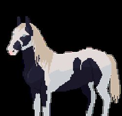 Digital Art Horse