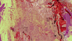 Digital Painting Illusion GIF