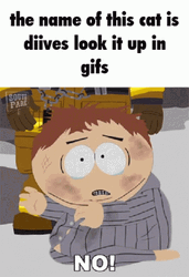Diives Cat Meme South Park GIF