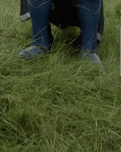 Dilly Dilly Bud Light Knight GIF