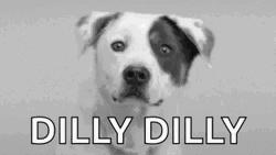 Dilly Dilly Jolly Cute Dog  GIF