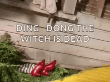 Ding Dong The Witch Is Dead Red Shoes  GIF