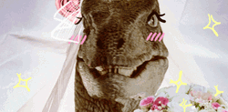 Dinosaur Bride Blush GIF