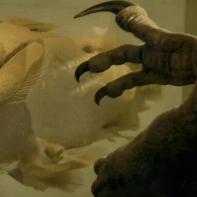 Dinosaur Claw Close Up GIF