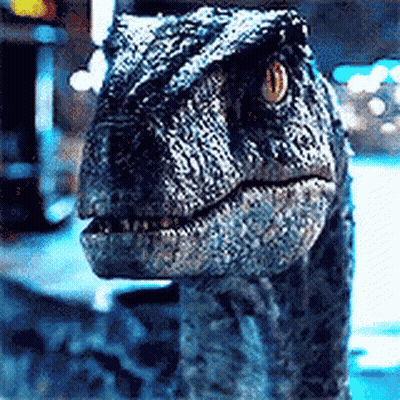 Dinosaur Close Up Looking At Camera GIF
