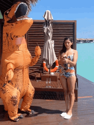Dinosaur Costume Happy Birthday At The Beach GIF