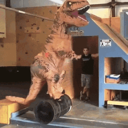 Dinosaur Do Work Out GIF