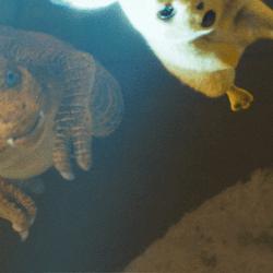 Dinosaur Eating Lightning Pikachu GIF